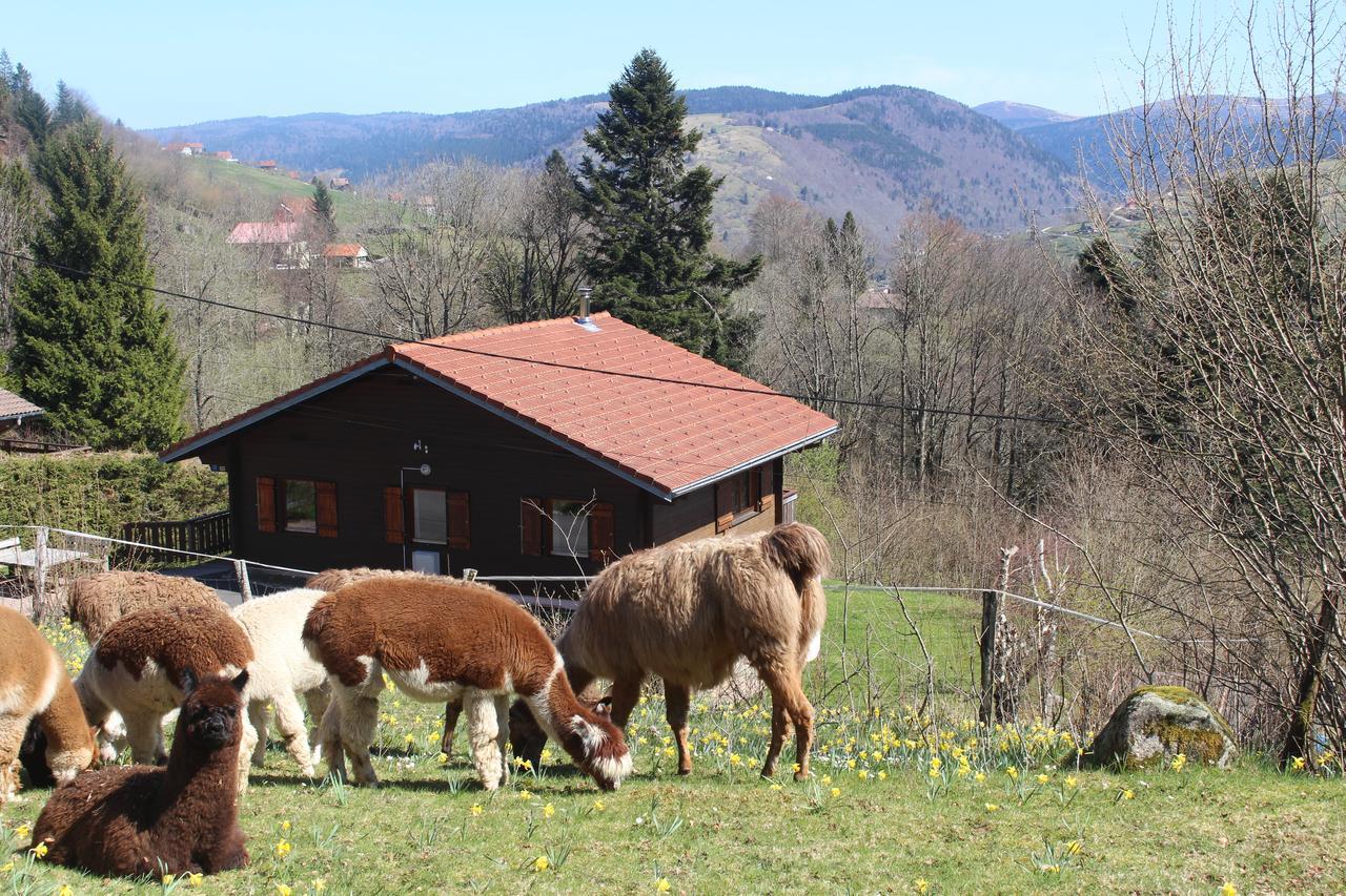 Chalet Les Bouleaux, La Montagne Des Lamas La Bresse Exteriör bild