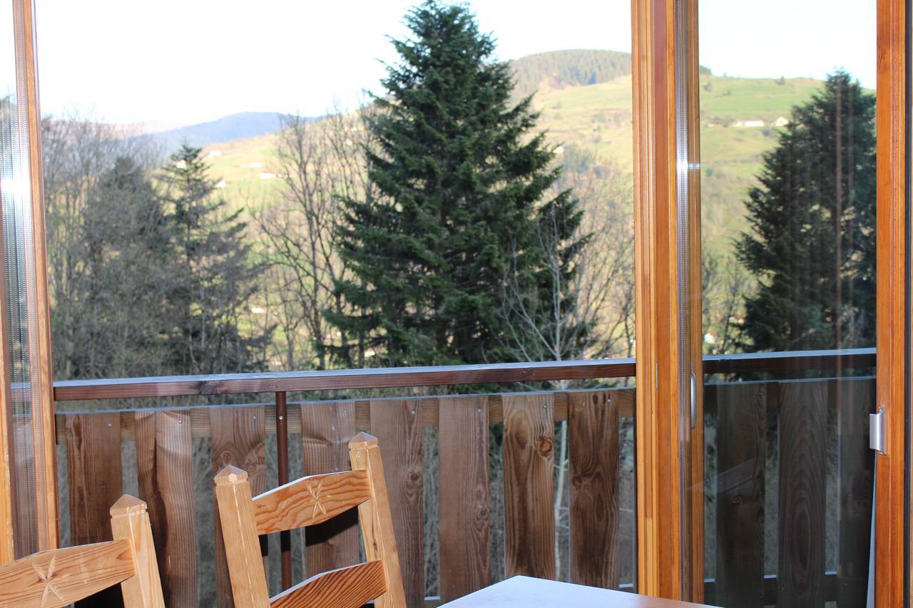Chalet Les Bouleaux, La Montagne Des Lamas La Bresse Exteriör bild
