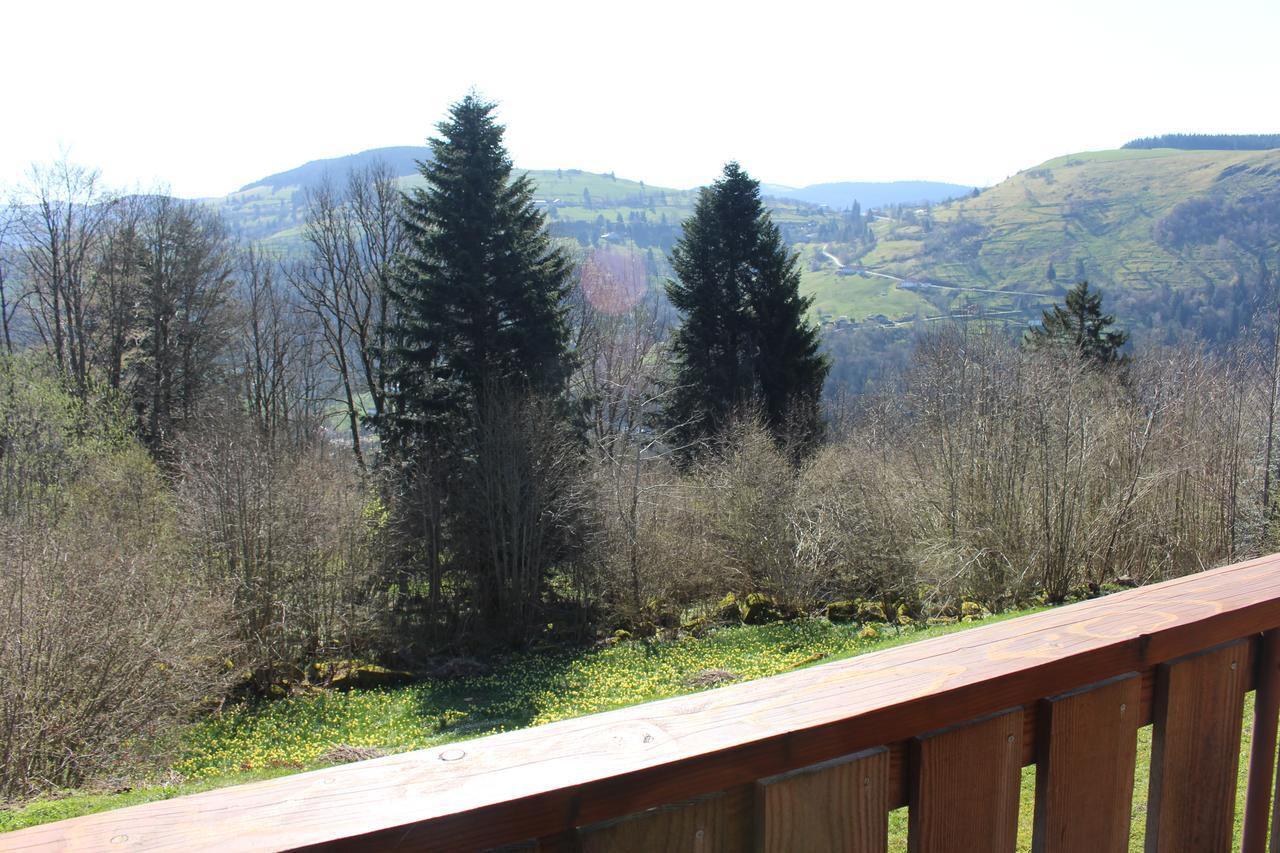 Chalet Les Bouleaux, La Montagne Des Lamas La Bresse Exteriör bild